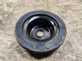 Coil spring/strut mount