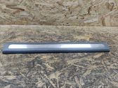 Front sill trim cover