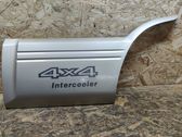 Rear door trim (molding)