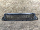 Front bumper lower grill