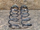 Front coil spring