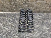 Rear coil spring