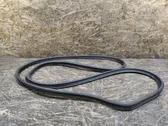 Trunk rubber seal (body)