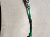 Sonde lambda