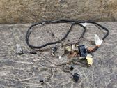 Other wiring loom