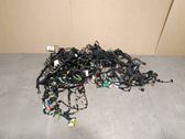 Other wiring loom