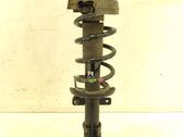Front shock absorber with coil spring