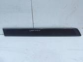 Sliding door trim (molding)