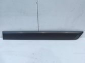 Sliding door trim (molding)