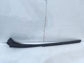 Windshield trim