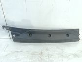 Wiper trim