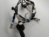 Rear door wiring loom