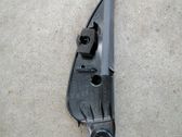 Other front door trim element