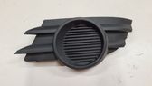 Front fog light trim/grill