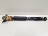 Rear shock absorber/damper