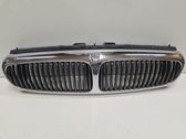 Front bumper upper radiator grill