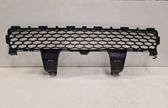 Front bumper lower grill