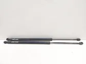 Tailgate/trunk strut/damper
