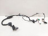 Rear door wiring loom