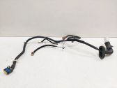 Rear door wiring loom