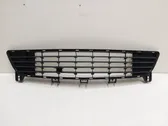 Front bumper lower grill