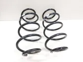 Front coil spring