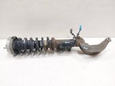 Front shock absorber with coil spring