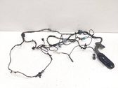 Front door wiring loom