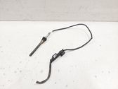 Abgastemperatursensor