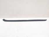 Windshield trim