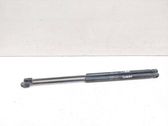 Tailgate/trunk strut/damper
