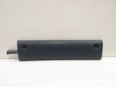 Rear door trim (molding)