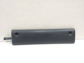Rear door trim (molding)