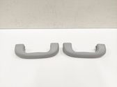 Front interior roof grab handle