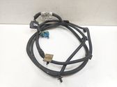 Parking sensor (PDC) wiring loom
