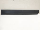 Front door trim (molding)