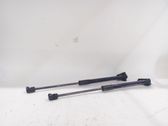 Front bonnet/hood damper/strut