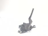 Tie down hook / loop