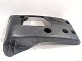 Listón embellecedor de la puerta delantera (moldura)