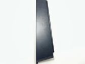 Rear door glass trim molding
