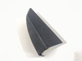 Other front door trim element