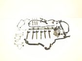 Fuel injection system set