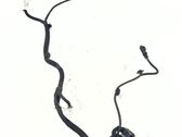 Laidai (starterio)