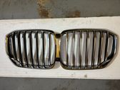Front bumper upper radiator grill