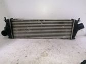 Radiador intercooler