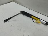Hebilla del cinturón de seguridad trasero