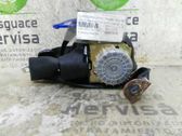 Cinturón trasero