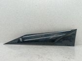 Dashboard trim