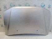 Motorhaube