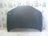 Motorhaube